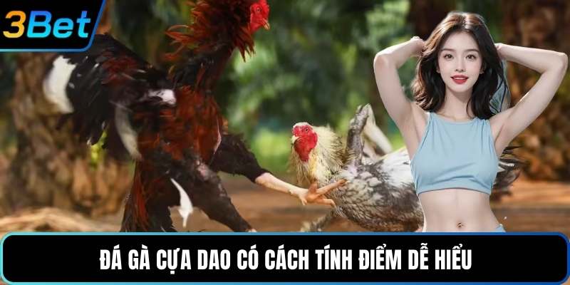 Đá gà cựa dao có cách tính điểm dễ hiểu
